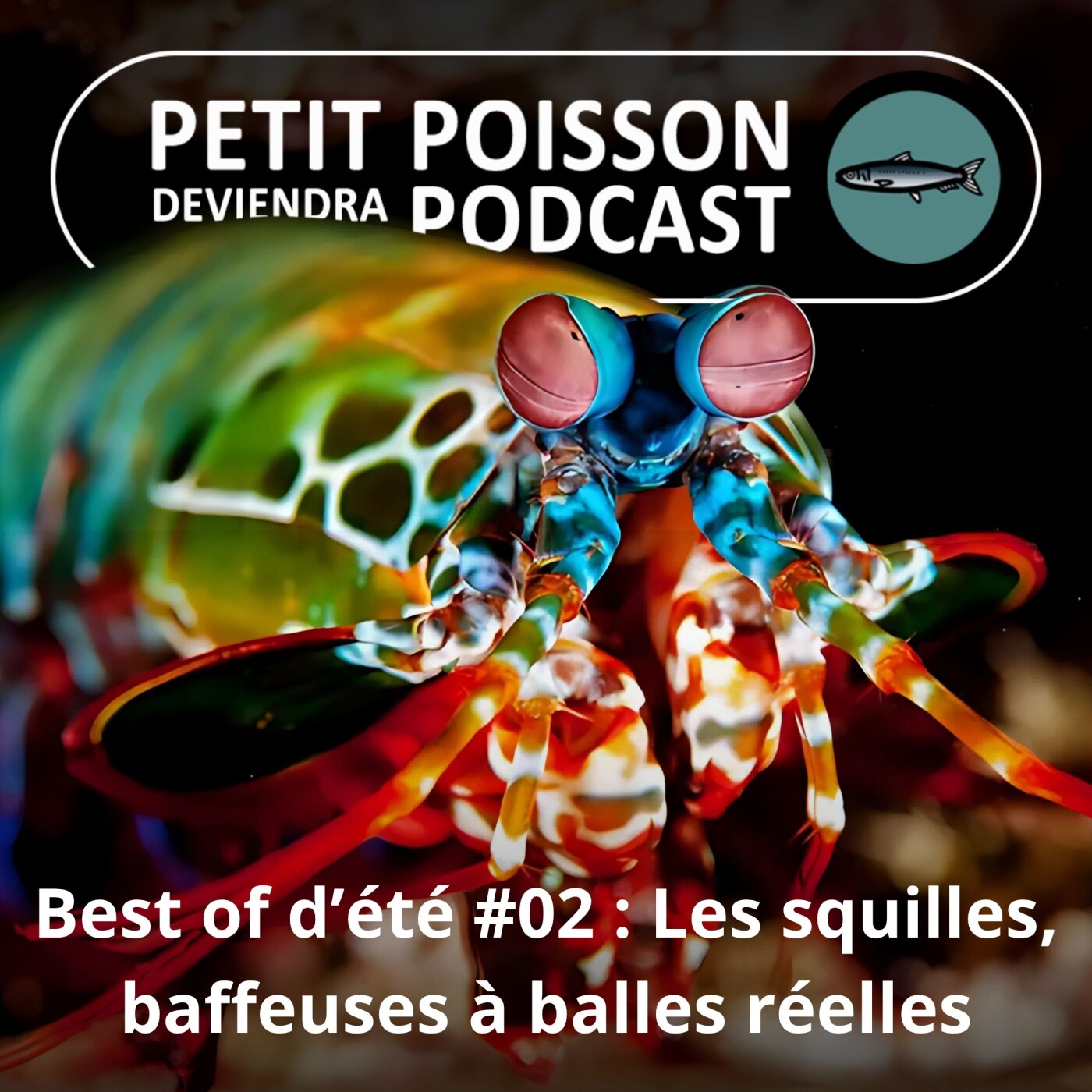 Petit Poisson deviendra Podcast