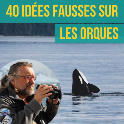 INTERVIEW - Les orques | Jean-Pierre Sylvestre cover
