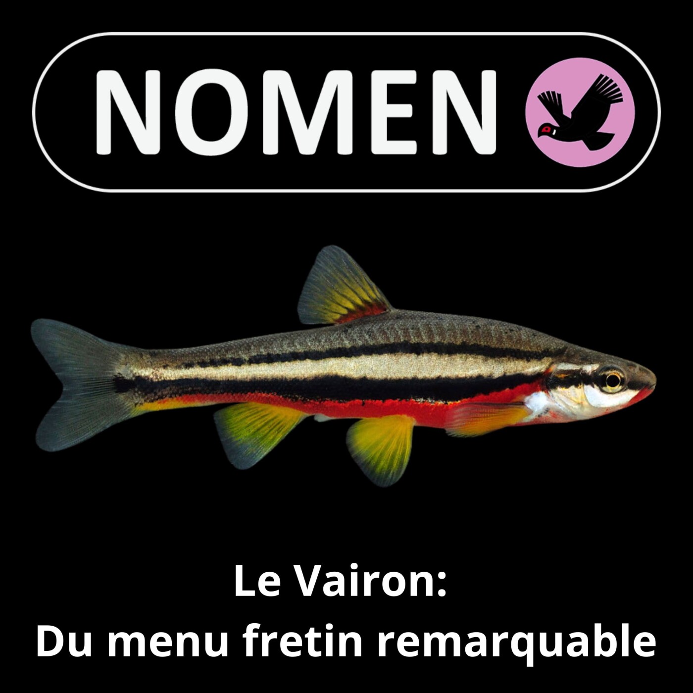 S05E43 Le vairon : Du menu fretin remarquable
